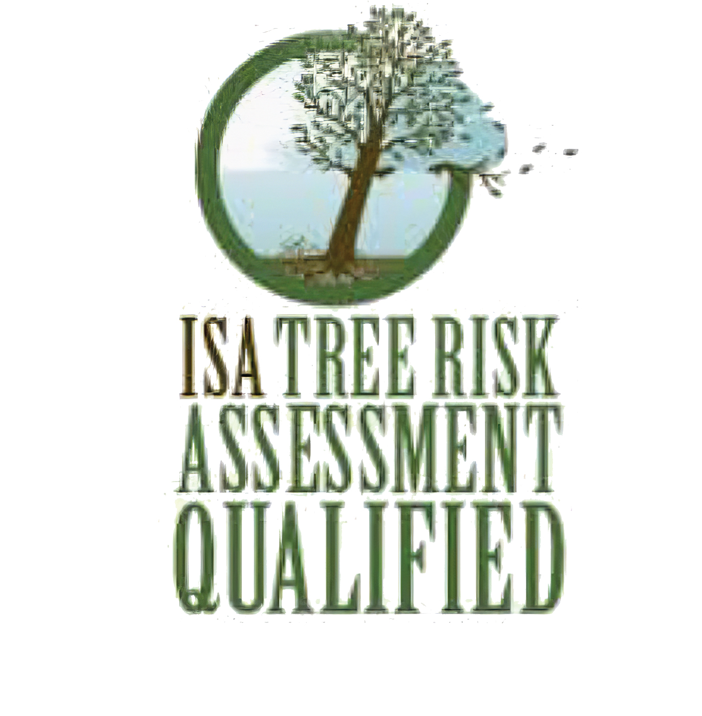 Tree Risk Assessment Qualified